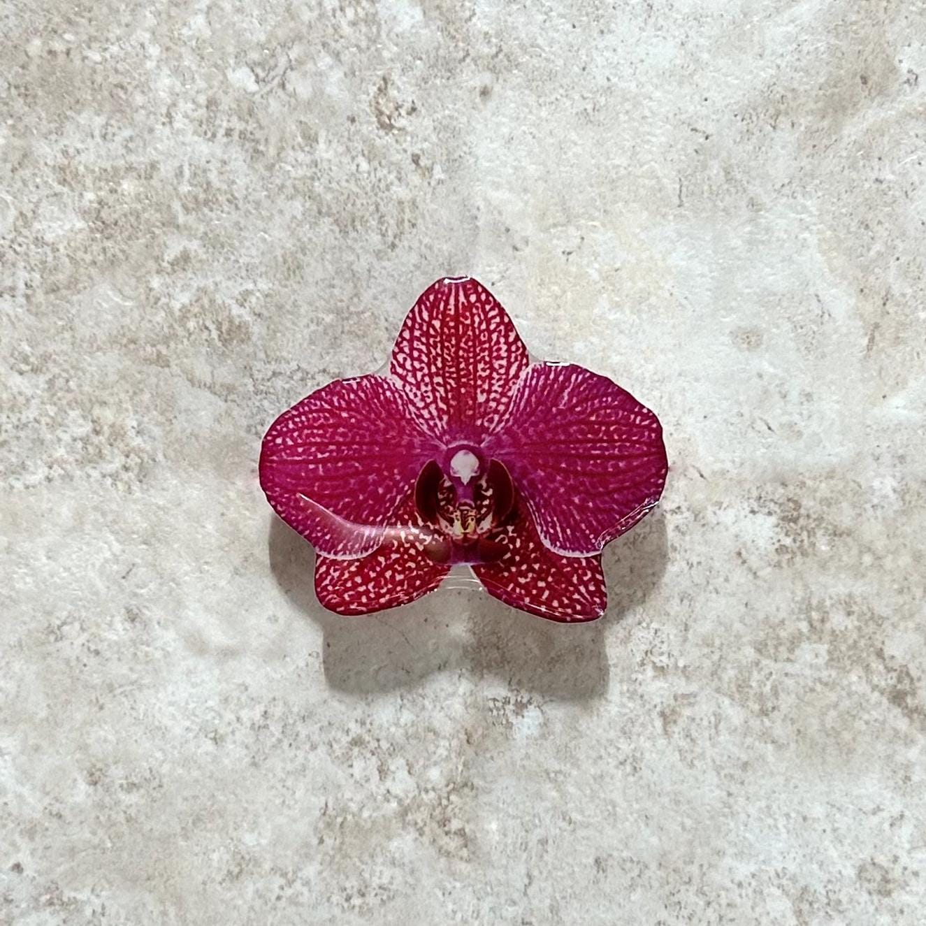 Orchid Flower Phone Grip